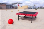 BOARD BALL GAME  BOARDBALL board ball boardball canada