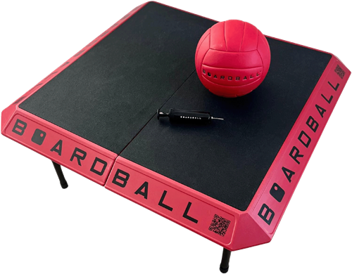 BOARD BALL GAME  BOARDBALL board ball boardball canada