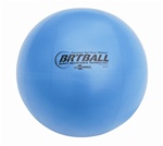 EXERCISE BALL