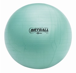 EXERCISE BALL