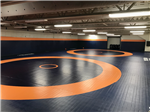 Wrestling mat