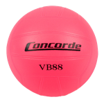 VOLLEYBALL  PVC SPIKER