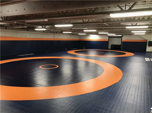 WRESTLING MAT